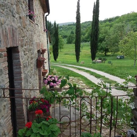 Podere Pian Di Cava Castelnuovo di Val di Cecina Exterior foto