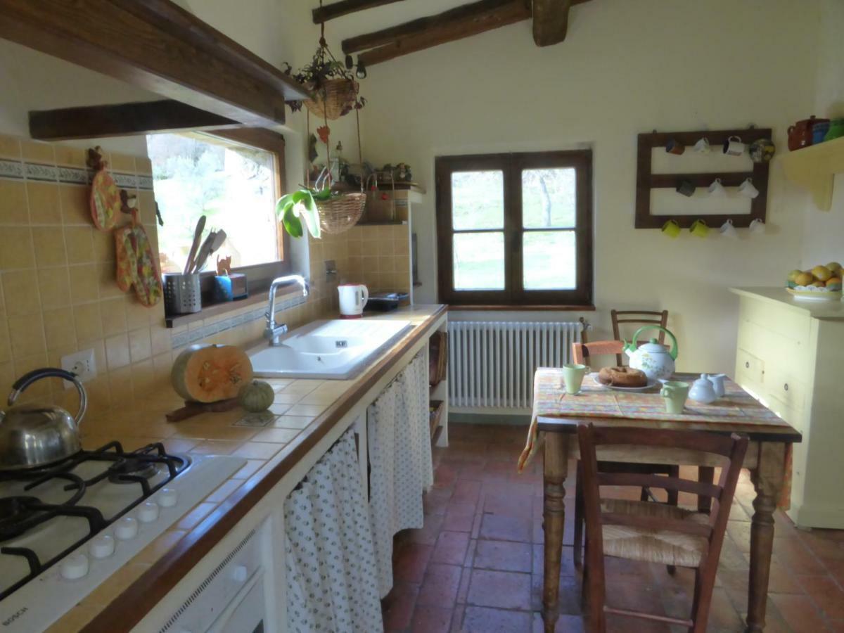 Podere Pian Di Cava Castelnuovo di Val di Cecina Exterior foto